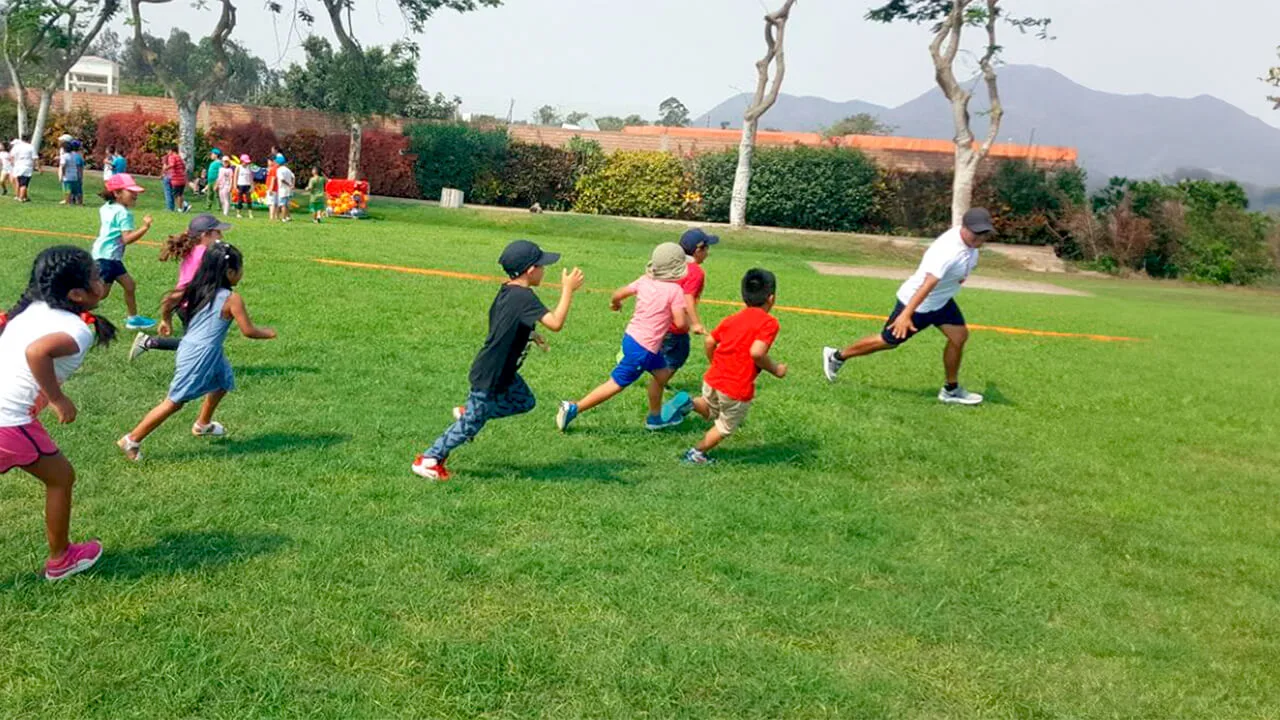 Video 12